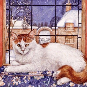 котик картинка